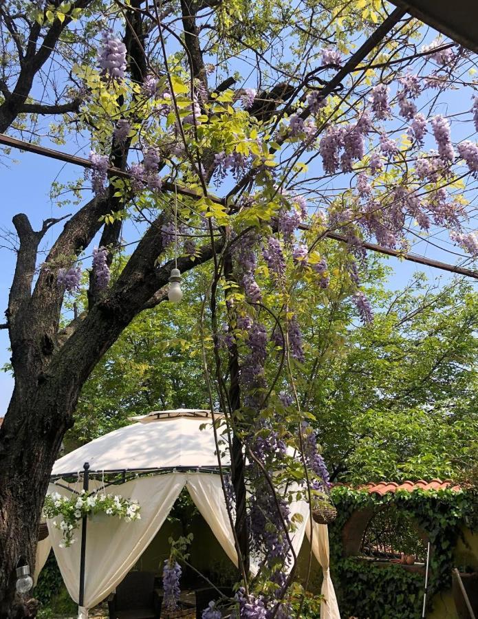 קומאנובו Lux Garden Home D מראה חיצוני תמונה